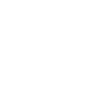 Brythefly's emblem