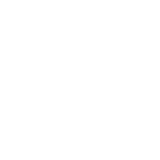 IchiNL's emblem