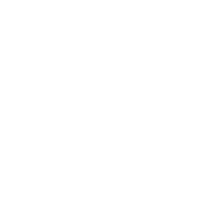 BrandonMI6's emblem