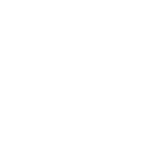 13snow13's emblem