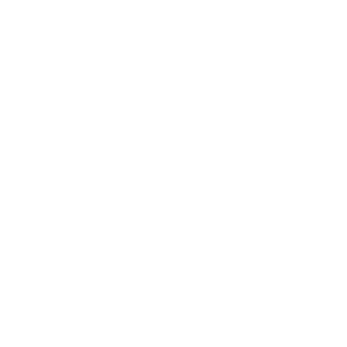 0samaBinLaundry's emblem