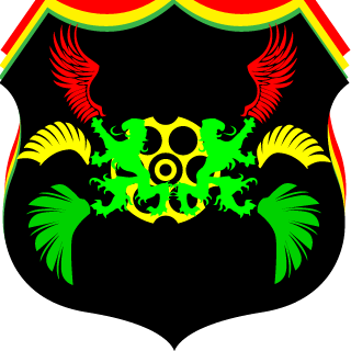 Ray01010's emblem