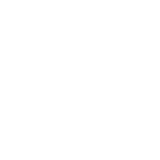 Explosivefox109's emblem
