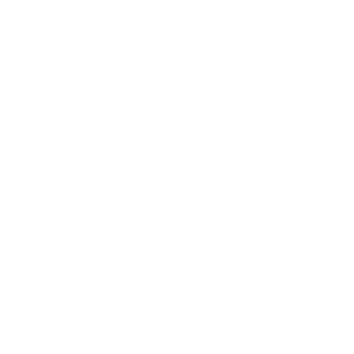 EuSouNoob2030's emblem