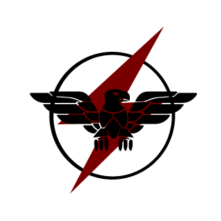 ColdSilvire's emblem