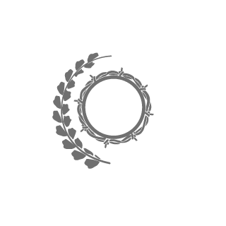 -arakyst-'s emblem