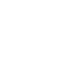 cyberInGame's emblem