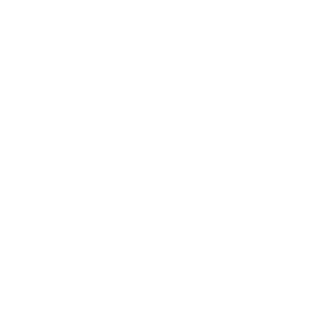 LordFoeNem's emblem