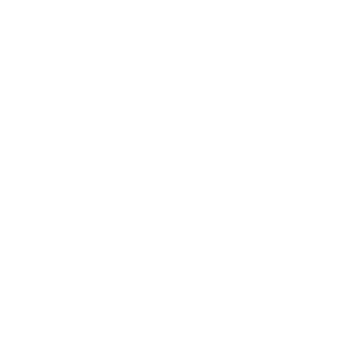 Vegaz_51's emblem