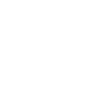 llW1Zll's emblem