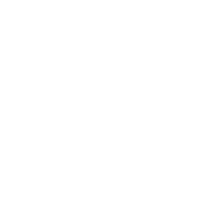 nikkuzz40rus's emblem