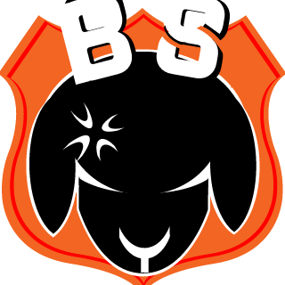 Romanian Black Sheep's emblem