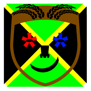 DSU_COMMANDER's emblem