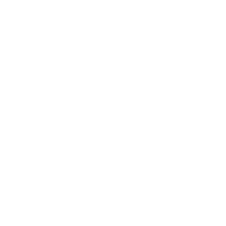 VasyaVlazhnii's emblem