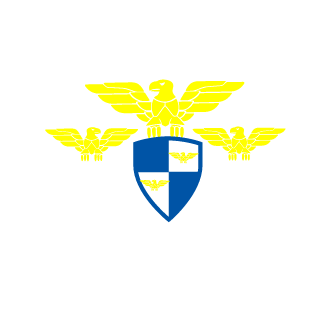 Aaking04's emblem