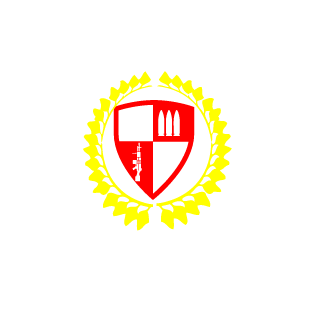 N1ghtmar3StorM's emblem