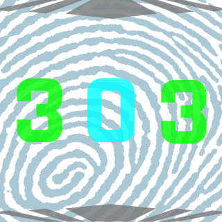303's emblem