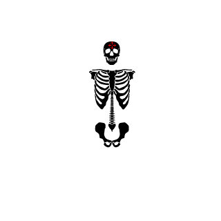chernobystalker's emblem