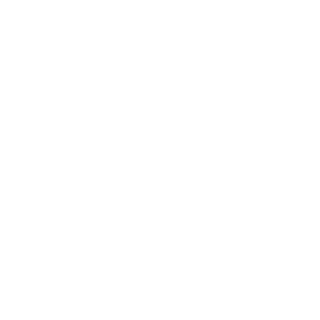 942a2c36d37843ff's emblem