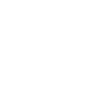 N0xtrem's emblem