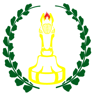 Skiper9295PL's emblem