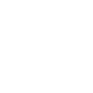 Timosaur's emblem