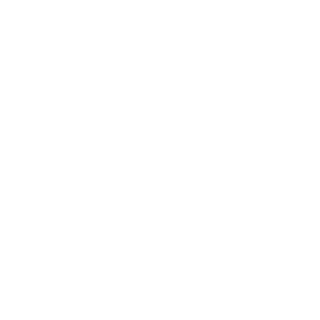 TheExspenZY's emblem