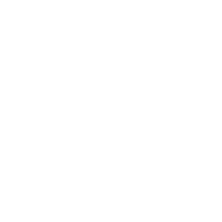 InSulin3's emblem