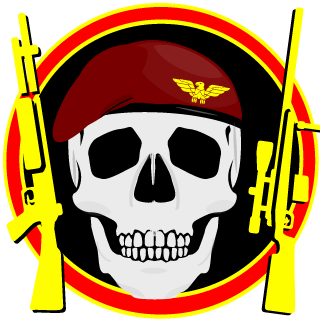 GRUPO DE ACOES TATICAS's emblem