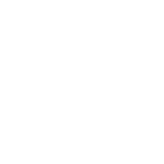 -w-StrikerV's emblem