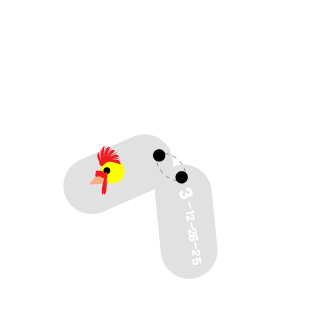 CRAzYchicken79's emblem