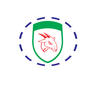NoodsForDudes's emblem