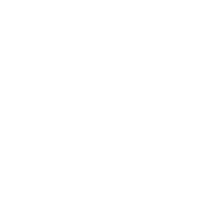 RavenHolm06's emblem