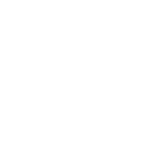 Acid_Trip_2020's emblem