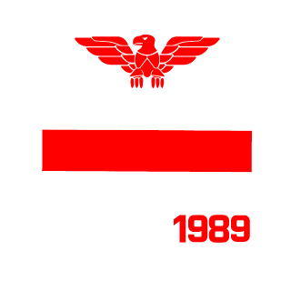DiDance1989's emblem