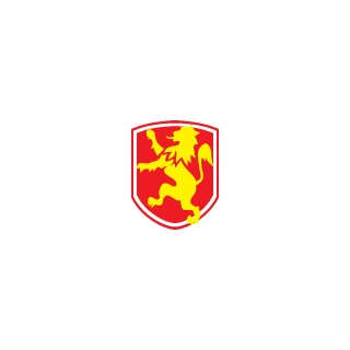 1sthurricane's emblem