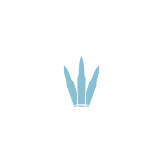 0_0Galaga0_0's emblem
