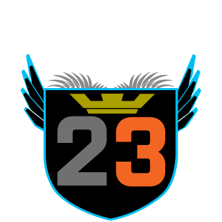 DishTheRockk's emblem