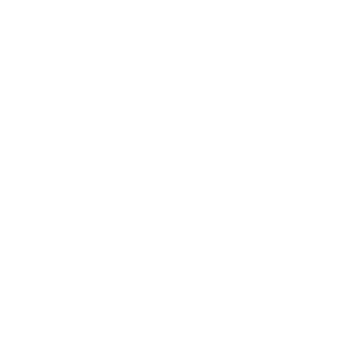 3ron1rvn's emblem