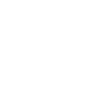 VIRAfast's emblem