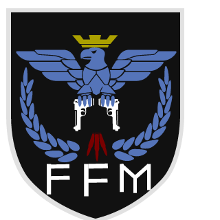GreyCrazyGamer's emblem