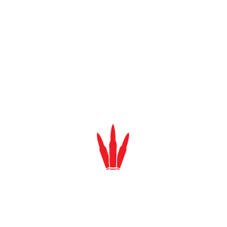 Fmkilller's emblem