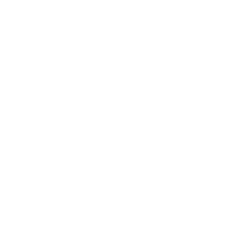 365kmh_peek's emblem
