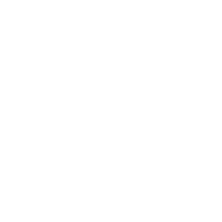 MVDNE5's emblem