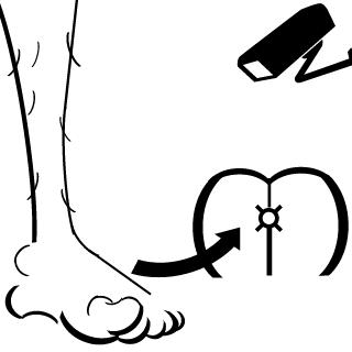 PiedOCul's emblem