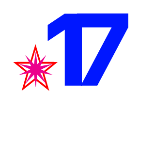 Ramin17017's emblem