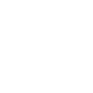 Danpie888's emblem
