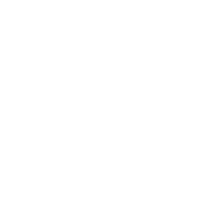 SeIMesa's emblem