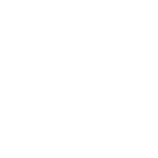 therandypandy's emblem