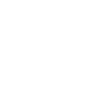 Lider_ichkeria's emblem